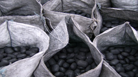 Open Coal Sacks